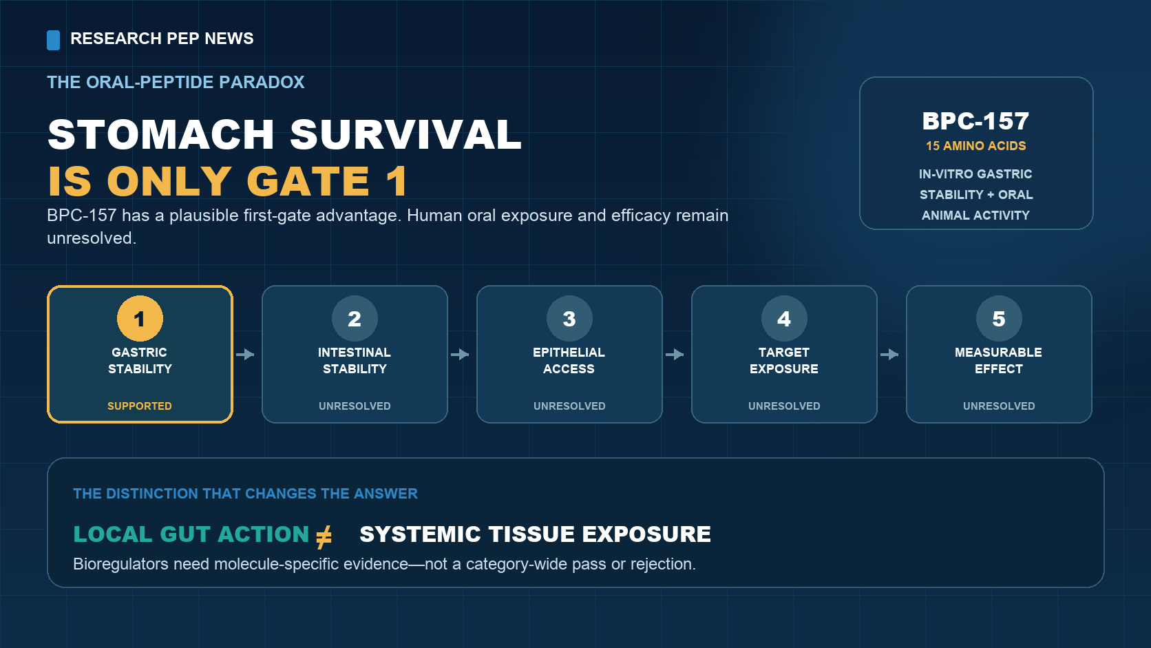 A Research Pep News diagram shows the five tests an oral peptide must pass: gastric stability, intestinal stability, epithelial access, target exposure and measurable effect